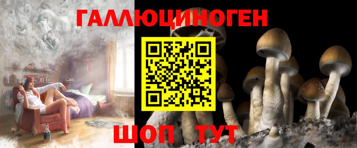 Галлюциногенные грибы Psilocybe  Вход с VPN  Нижневартовск  Псилоцибиновые грибы Psilocybine cubensis 