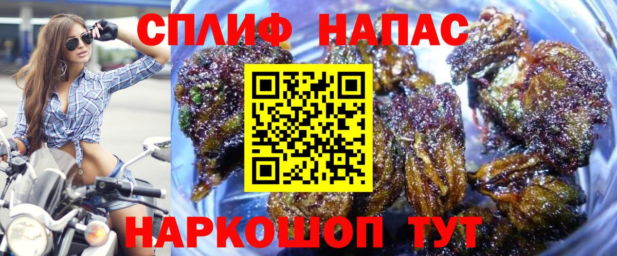 Канабис сатива Нижневартовск